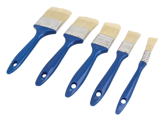 Set pensule pentru vopsit, 5 bucati, SaTra S-5PBH